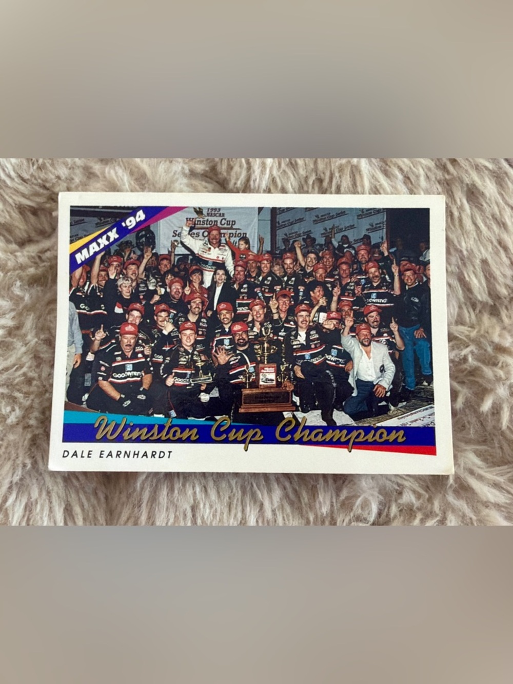 1994 Maxx Dale Earnhardt #238 Winston Cup Champion Collectible Card